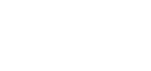 logo-ngs